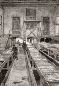 Interiér rybí farmy z 19. století v Huningue, Francie, z Les Merveilles de la Science, vydáno kolem roku 1870 (rytina) od French School