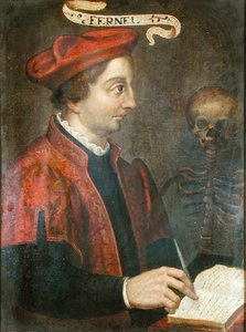 Jean Fernel (asi 1497-1558) (olej na plátně) od French School