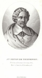 Joseph Pitton de Tournefort od French School