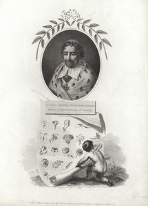 Joseph Pitton de Tournefort od French School