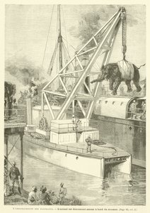 Embarkation Of The Elephants (rytina) od French School