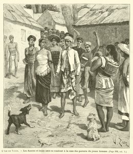 Ostrov Timor (rytina) od French School