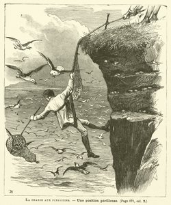 The Penguin Hunt (rytina) od French School