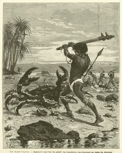 The Robber Crab (rytina) od French School