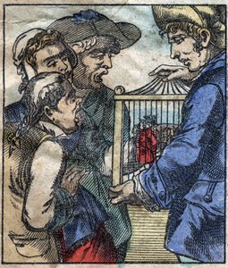 Lemuel Gulliver je v kleci ukázán obrům z Brobdingnagu. Ilustrace pro „“ Gulliver