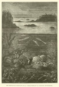 Hlavní obyvatelé země během devonského období (rytina) od French School