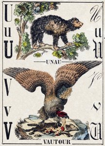Písmeno U Unau (líný); V Vulture. Gravírování v „“Abeceda zvířat sauvages““. 9. série. Obrázky Epinal, Pellerin, tiskárna-nakladatel, kolem roku 1870. Rytiny na dřevě, šablona. 16 stran. Rozměr: 20 x 15 cm. Soukromá sbírka od French School