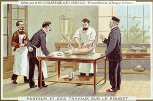 Louis Pasteur (1822-95) pracující na vyšetřování spalniček, reklamní karta pro Chocolaterie dAiguebelle