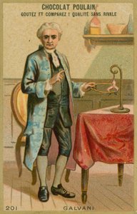 Luigi Galvani od French School