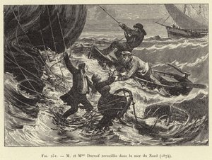 S paní Duruof recueillis dans la mer du Nord od French School