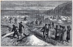 Marais salants de Bretagne v 19. století – rytina v „Vědách, které jsou vděčné za granty – fyzika a chemie“ od Alexise Clerca – konec 19. století – soukromá sbírka od French School