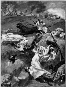 Masakry v Touatu (severní Afrika). Rytina v "La Terre Illustree" č. 54 z 12. listopadu 1891. od French School