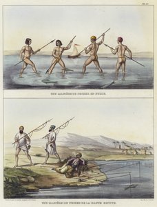 Metody rybolovu v Núbii a Egyptě od French School