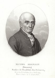 Michel Adanson od French School