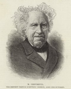 Michel Eugene Chevreul od French School