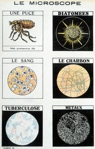 Mikroskopy: čip, rozsivky, krev, uhlí, tuberkulóza, kovy. od French School