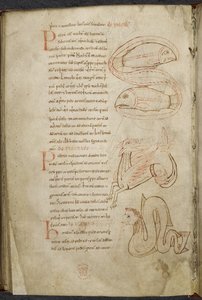 Různé práce o počítačích a astronomii, Royal MS 13 A XI od French School