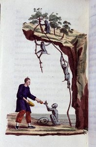 Opice sklízejí čaj v Číně od French School