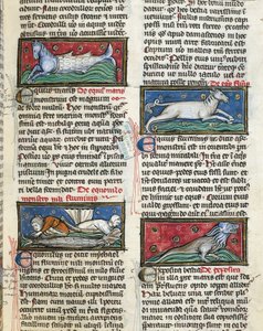Ms 320 Fol.115r Sea Monsters, z „De Natura rerum“ od Thomase van Cantimpre (1201-72) (vellum) od French School