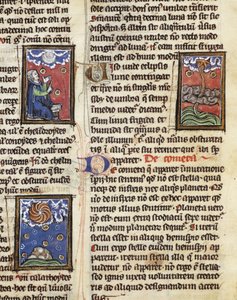 Komety Ms 320 Fol.197, z „The Nature of Things“ od Thomase van Cantimpre (1201-72) (na pergamenu) od French School