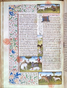 Ms 3717 Lovečtí psi, z Livre de la Chasse od Gastona Phebuse de Foix (1331-91) (vellum) od French School