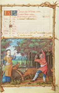 Ms 438 Měsíc listopadu: Sbírání žaludů, z knihy hodin, 1490 od French School