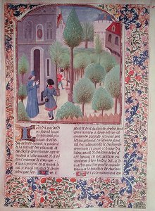 Ms 5064 fol.105r Výsadba stromů, z Livre des Prouffitz Champestres od Pietra de Crescenzi (1230-132021) od French School