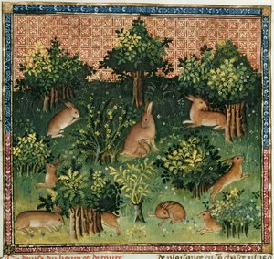 Paní Fr 616 fol.24v Zajíci v lese, z Livre de la Chasse od Gastona Phebuse de Foix (1331-91) od French School