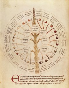 Ms Lat 11229 fol.19r Tabulka pro analýzu moči, od Petit Traite dhygiene et Medecine od French School