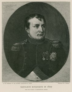 Napoleon Bonaparte v roce 1809 od French School