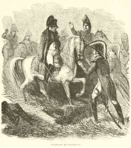 Napoleon u Waterloo (rytina) od French School