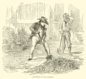 Napoleon ve své zahradě (rytina) od French School
