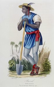 Černošský plantážník z Brazílie - v “” Bibliotheque Universelle des Voyages”” od Alberta-Montémonta, ed. Armand-Aubree, Paříž od French School