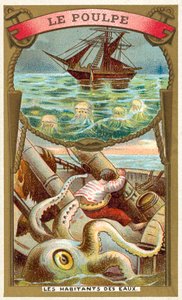 Chobotnice (chromolitho) od French School