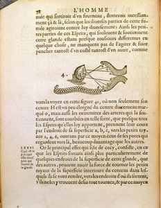 Optický diagram, z De Homine Figuris od René Descartes (1596-1650) publikovaný v Haagu, 1662 od French School