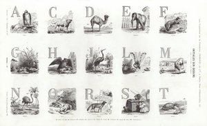 Stránka z typografických vinět (rytina) od French School