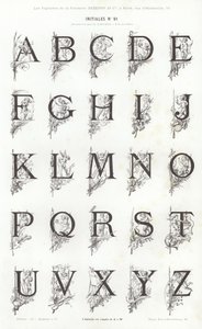 Stránka z typografických vinět (rytina) od French School