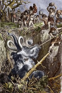 Paleolit: scéna lovu mamutů, kmen pravěkých mužů hází kameny po mamutových pádech do jámy (doba paleolitu: evropští jeskyňáři lovící mamuta spadl do jámy) Rytina 19. století Soukromá sbírka od French School