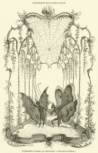 Papillonneries humaiaes (rytina) od French School