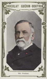Pasteur (barevné foto) od French School