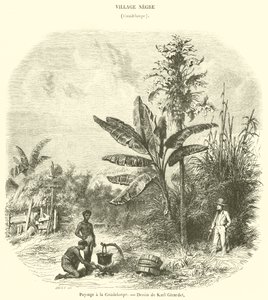 Krajina na Guadeloupe (rytina) od French School