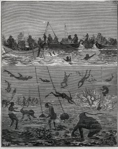 Perlovci na Cejlonu (dnešní Srí Lanka) v 19. století. Rytina z roku 1885 v „“Les arts et metiers illustres““ od Adolpha BITARDA. od French School