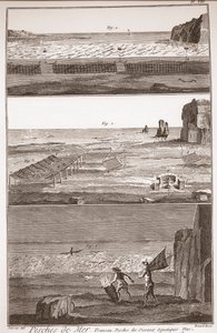 Peche de Mer - Trameau - Rybolov vodních ptáků - "" Velká encyklopedie nebo Dictionnaire Raisonne des Sciences, des Arts et des Metiers" (Encyklopedie nebo slovník věd, umění a profesí) Denis Diderot (1713-1784) a Jean d Alembert (171 od French School