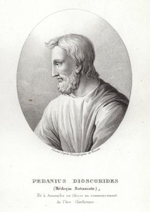 Pedanius Dioscorides od French School