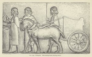 Persepolis, Muži vedoucí koně tažný vůz od French School