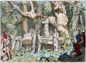 Sbírání jmelí od druidů v Galii, konec 19. století (rytina) od French School