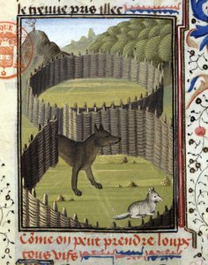 Piege a wolf - v "" Lovecké knize Gastona Phoebuse, hraběte z Foix, lorda z Béarnu"" od French School