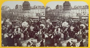 Place de la Bastille, veletrh šunky, Paříž, stereoskopický pohled, cca 1860 od French School