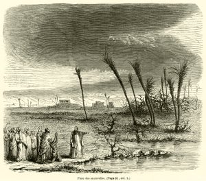 Plague of the Grasshoppers (rytina) od French School