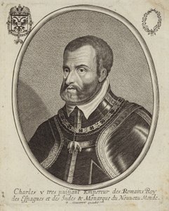 Portrét Karla V., císaře Svaté říše římské od French School
